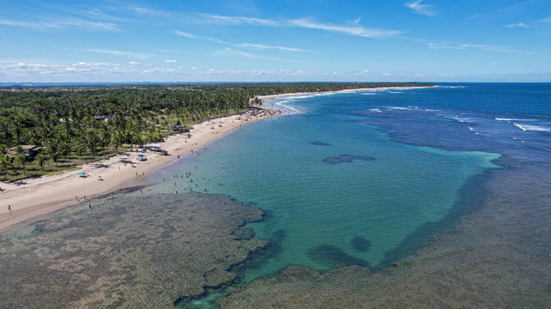 Reprodução/ Tripadvisor