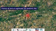 Tremor de terra atinge cidade nordestina - Reprodução/Rede Sismográfica Brasileira (RSBR)