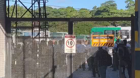 BNews