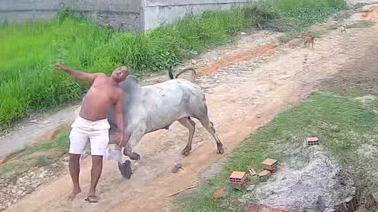 Reprodução / Redes Sociais