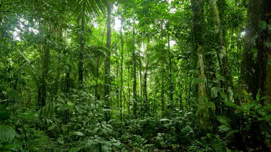 Reprodução Climate Policy Initiative