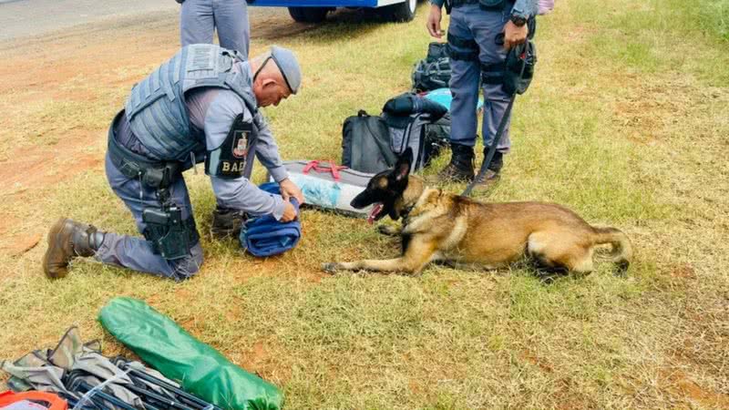 Divulgação / Polícia Militar