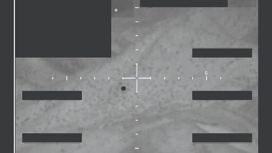Divulgação/FBI