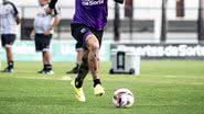 Reprodução / Gabriel Silva / Ceará SC