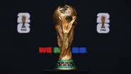 Reprodução / FIFA