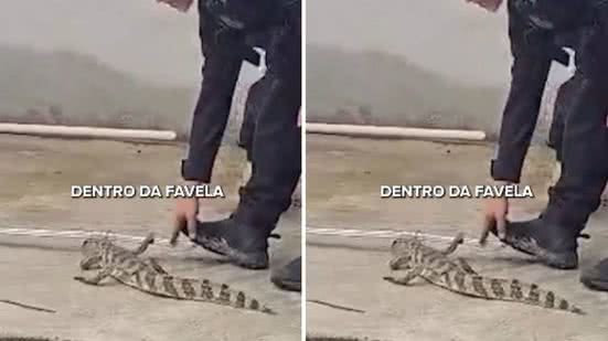 Reprodução | Instagram | @policiacivil_rj