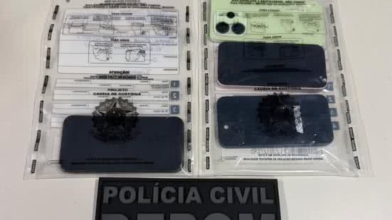 Divulgação