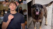 Reprodução/ Redes sociais