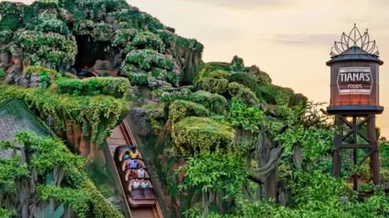 Foto: Reprodução / Site do Walt Disney World