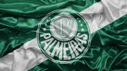 Divulgação/Palmeiras