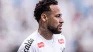 Raul Baretta / Santos FC