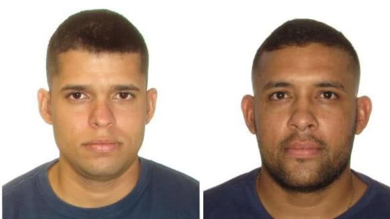 Divulgação