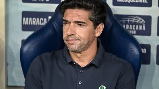 Reprodução/ Palmeiras