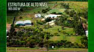 Divulgação / Uberlância EC