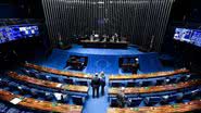 Jefferson Rudy/Agência Senado