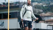 Reprodução / Raul Baretta / Santos FC