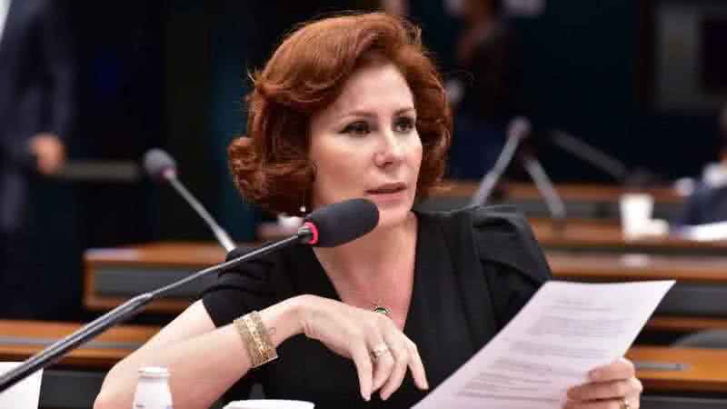 Zeca Ribeiro / Câmara dos Deputados
