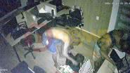 Imagens cedidas ao BNews
