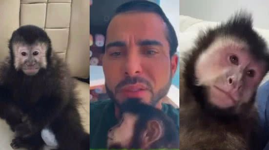 Reprodução | Redes Sociais