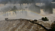 Divulgação/Edi Emerson/Parque Nacional do Iguaçu