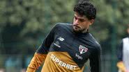 Erico Leonan / São Paulo FC