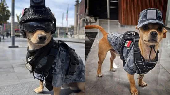 Reprodução/Redes Sociais