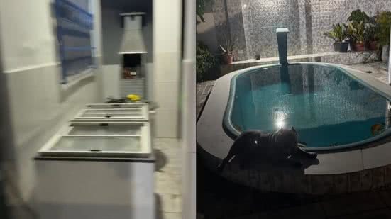 Divulgação SSP