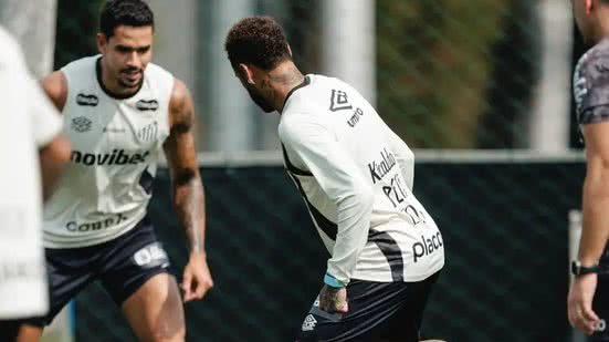 Reprodução / Raul Baretta / Santos FC