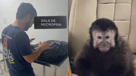 Reprodução / Redes Sociais