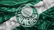 Divulgação/Palmeiras