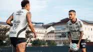 Foto: Raul Baretta/ Santos FC
