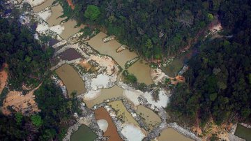 Marizilda Cruppe/Amazônia Rea