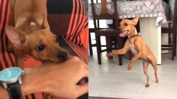 Reprodução/TikTok