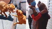 Reprodução/TikTok