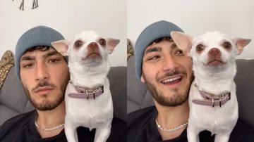 Reprodução/TikTok