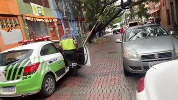 Reprodução