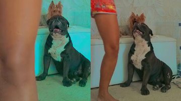 Reprodução/TikTok @saracitadin