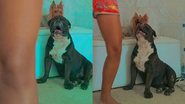 Reprodução/TikTok @saracitadin