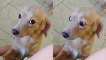 Reprodução/TikTok @marylimaa0