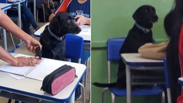 Arquivo Pessoal