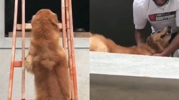 Reprodução/TikTok @breferreirs