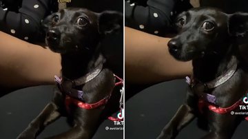 Reprodução/Vídeo