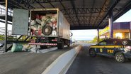 Foto: Polícia Rodoviária Federal