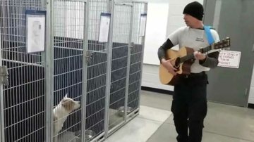 Reprodução/Facebook/Friends of Vance County Animal Shelter