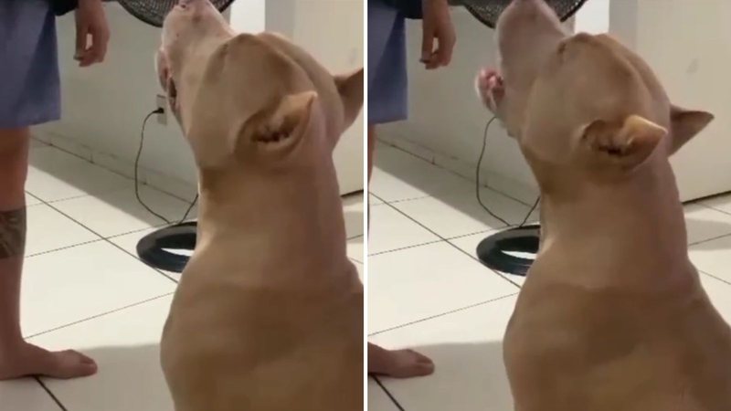 Reprodução/TikTok @tathiuym