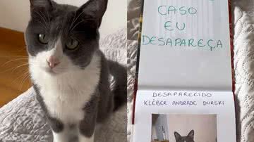 Reprodução/TikTok @klebinho3patas
