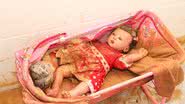 imagem da galeria