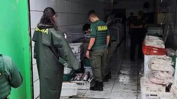 Divulgação/Ibama