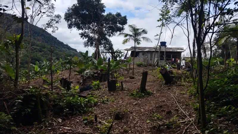 Divulgação/Polícia Ambiental