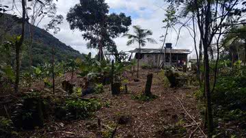 Divulgação/Polícia Ambiental